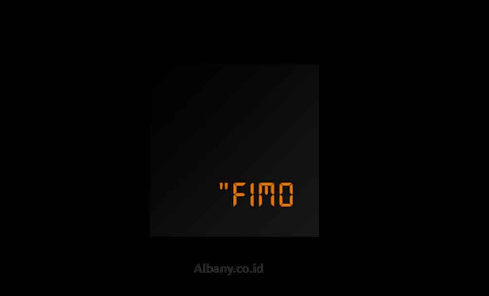 FIMO-Kamera-Analog